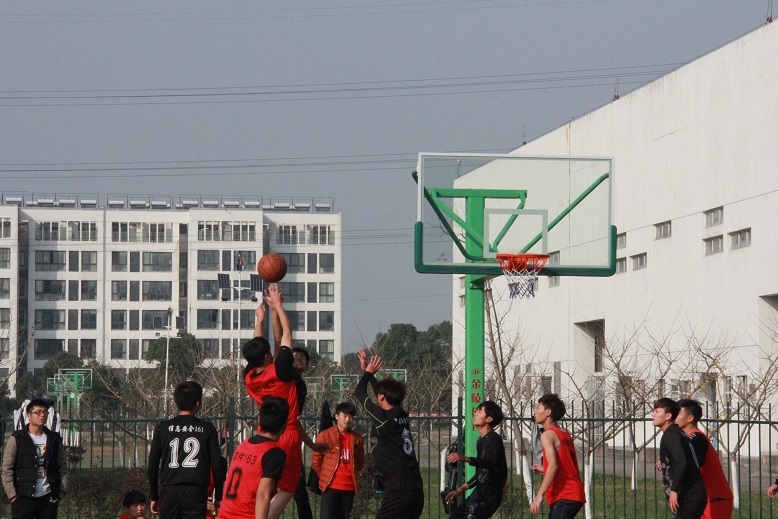 IMG_9923.JPG