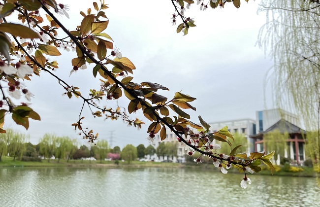 刘天泉-波光粼粼.jpg