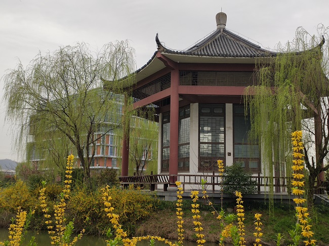 蒿瑞芳-一年之计在于春.jpg